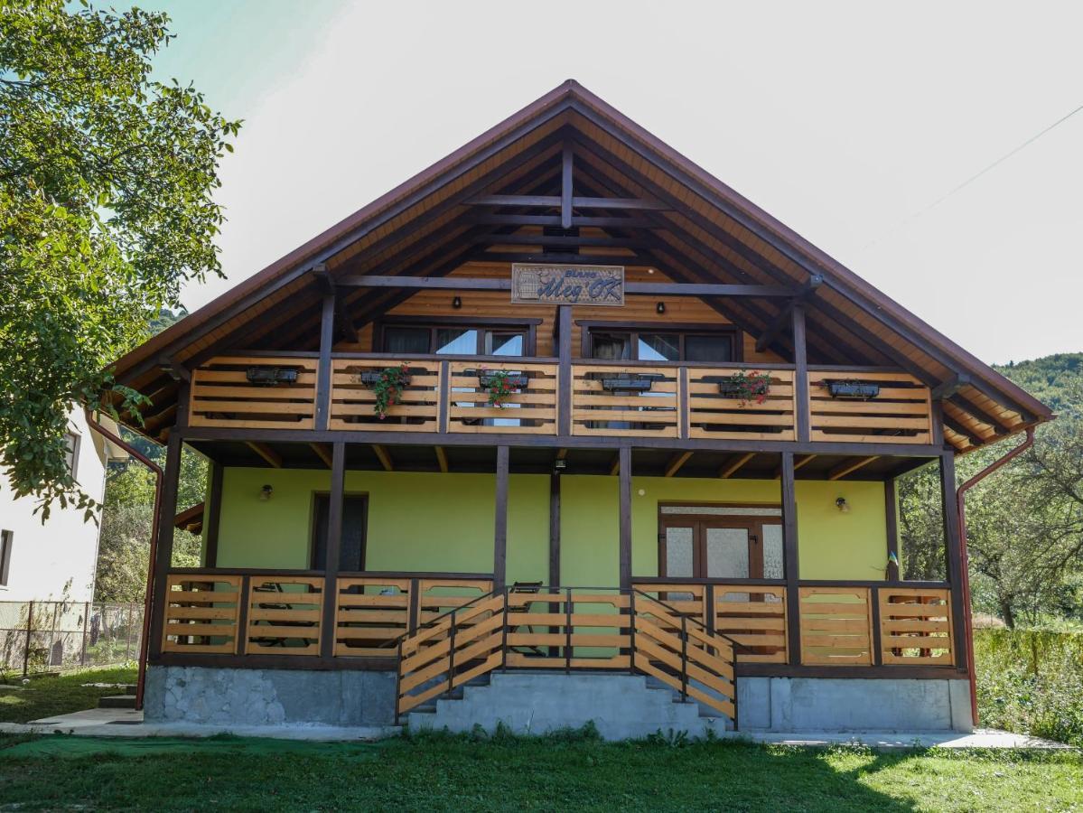 Villa Med'Ok Вижница Экстерьер фото