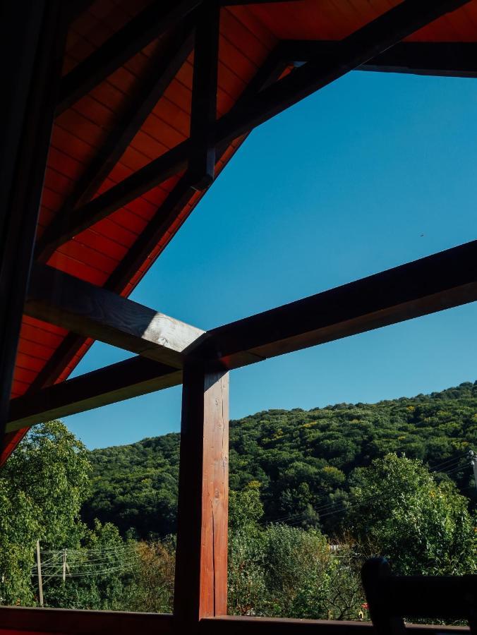 Villa Med'Ok Вижница Экстерьер фото