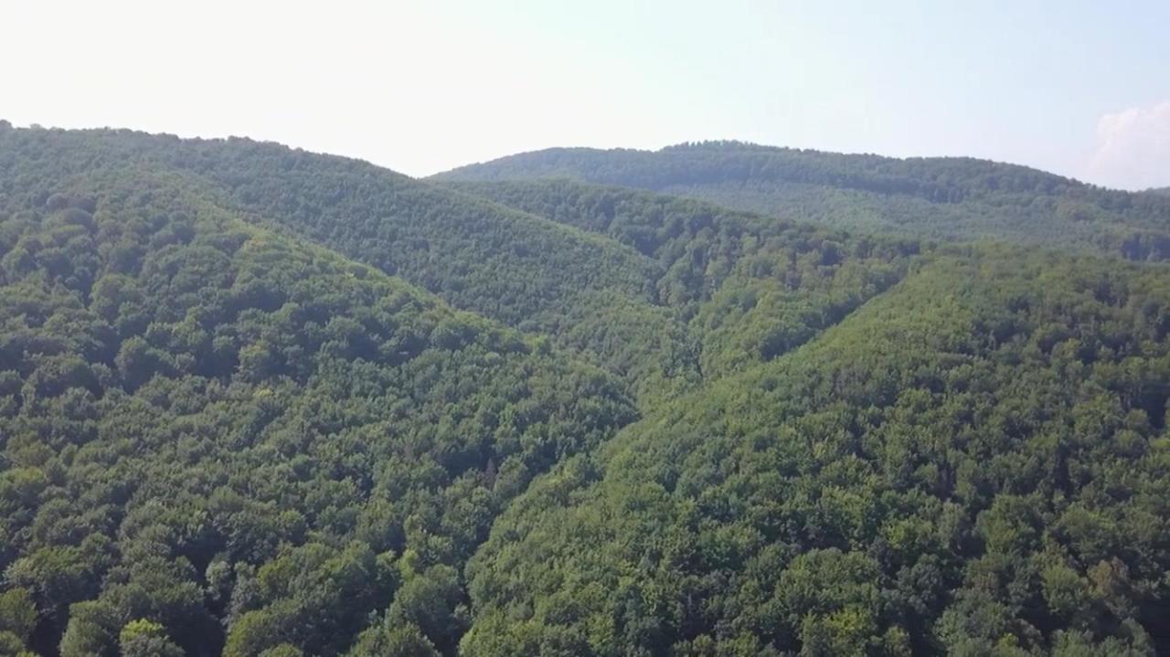 Villa Med'Ok Вижница Экстерьер фото
